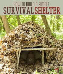 Emergency Shelter Diy Basic Survival Skills Survival Life Survival Skills Survival Shelter Wilderness Survival