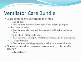 The nb series ventilators are specially designed for neonates and equipped with comprehensive ventilation modes to meet various needs of. Ventilator Care Bundle Ppt Video Online Download