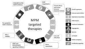 Ijms Free Full Text Phytochemicals In Malignant Pleural Mesothelioma Treatment Review On The Current Trends Of Therapies Html