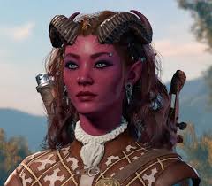 Looking for a polearm for my Druid. I seem to rarely get drops of that  weapon. Specifically want Willpower, life, and chance to reset resource.  Need GA to Willpower, but would love