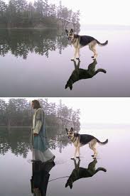 To add a new layer, chose layer > new > layer. 12 Funniest Photoshop Battles Photos Will Make Your Day Reckon Talk