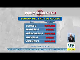 Además, el 'pico y cédula' volverá en la capital del valle desde el sábado 27 de marzo hasta el lunes 5 de abril, según el decreto expedido por la alcaldía de cali. Agosto 03 2020 Asi Esta Funcionando El Pico Y Cedula En Cali Durante Esta Semana Youtube