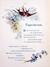 Not sure what to write on funeral flowers? Forget Me Nots And You Forget Me Not Flower Quotes Wonderful Words