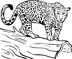 On our site you can print coloring pages with this character free C Is For Camel Coloring Page Novocom Top