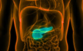 Patient Centered Choice Of Prandial Insulin Touchendocrinology