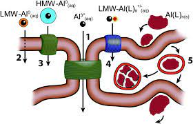 Human Exposure To Aluminium Environmental Science Processes Impacts Rsc Publishing Doi 10 1039 C3em00374d