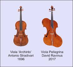 نتیجه جستجوی لغت [viola] در گوگل