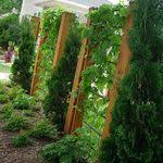 We also offer full landscape design, and services. Kauppi Kustom Landscaping Kauppikustomlan Profile Pinterest