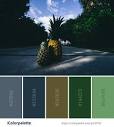 Create, Inspire and Share awesome color schemes | iColorpalette