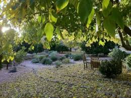 Docents Nurture the Heritage Edition's “Wow Factor” at the Casa