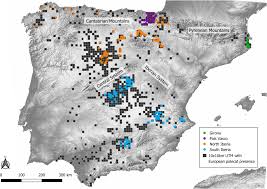 The genetics of the European polecat in the Iberian Peninsula - Barrientos  - 2024 - The Journal of Wildlife Management - Wiley Online Library