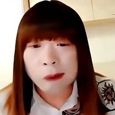 Child and kitten proof plexiglass screen protector