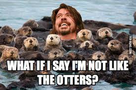 What If I Say I M Not Like The Otters Otter Grappige Bijschriften Zeeotter