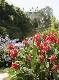 Der botanische garten der universität wien befindet sich am gelände des belvederes, und zwar entlang der jacquingasse. Landstrasse Ein Spaziergang Im Botanischen Garten Wiener Bezirksblatt