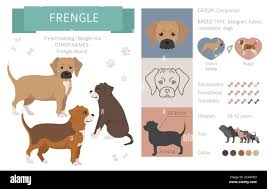 Portrait discounts hotsell fashionable Of