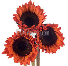 Flower delivery to kansas city metro including kansas suburbs. Sunflower Red Sunflowers Near Me Wholesale Flowers Kansas City