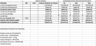 Pohon durian ini panen sangat banyak, ini dia rahasia teknik pemupukan pohon durian. Kertas Kerja Penanaman Durian Musang King Bibit Unggul