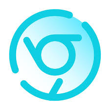 Image result for chrome icon