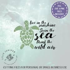 Download Free Turtle Svg Cut File