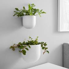 Easy to care for succulent plants are wonderful way to brighten up your planter shelf! West Elm X Pbt Ceramic Wallscape Planter Pottery Barn Teen