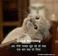 Posted by unknown at 19:22. 101 Subah Ke Liye Majedar Shayari Good Morning Shayari In Hindi Funny Good Morning Quotes And Messages