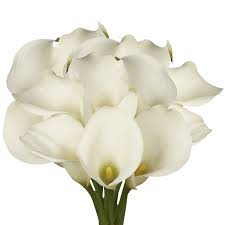 Some right reserved, and if the copyright of photo in this site is belongs to you. White Calla Lilies Wedding Flowers On Sale Globalrose