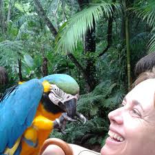 Célia FOSTER SILVESTRE