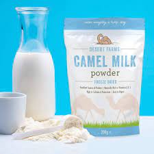 The milk powder can be supplied in jars or bags of 420 grams, of which about 21 glasses of camel milk can be extracted from. Desert Farms Organic Whole Camel Milk Powder Certified Paleo And Keto Grass Fed Non Gmo Easy To Mix Powder Milk Excellent Replacement For Goat And Soy Milk 7 Ounce Buy Online