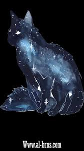 خلفيات شاشه black wallpaper phone wallpaper wallpaper