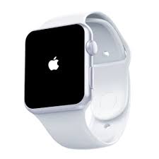 Apple Watch Edition Series 6 ...