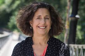 Meet the Professionals