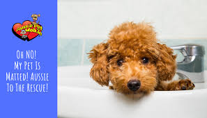 We would like to show you a description here but the site won't allow us. Oh No My Pet Is Matted Aussie To The Rescue Aussie Pet Mobile South Carolina