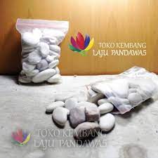 Maybe you would like to learn more about one of these? Batu Hias Batu Kerikil Batu Untuk Tanaman Batu Hias Tanaman Artificial Batu Putih Untuk Tanaman Shopee Indonesia