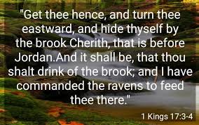 TODAYs_WORD📖 #Monday_7th_October_2024. #Obedience_Brings_Blessings! "Go to  the east and hide by Kerith Brook, near where it enters the Jordan River.  Drink from the brook and eat what the ravens bring you, for I