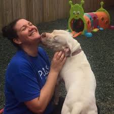 Fundraiser for Sarah Herzer by Jennifer Knell : Help immigrant stay in the  U.S