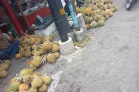 Gomez luwuk 279 views10 hours ago. Tidak Hanya Lautnya Yang Kaya Anambas Miliki Durian Berkualitas Dan Enak Mediakepri