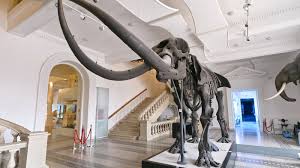 Este cel mai vechi muzeu de istorie naturală din ţară si se află la iaşi. Muzeul De Istorie NaturalÄƒ IaÈ™i Castelul Peles Sinaia Program De Vizitare