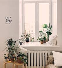 Check spelling or type a new query. Indoor Plant Light Guide Our House Plants