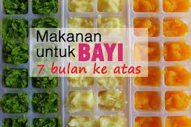 Makanan Untuk Bayi 7 Bulan With Images Food Breakfast Ice Cube Trays