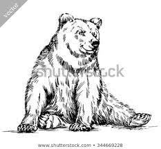 drawn in ink isolated bear illustration sketch linear art peintures d ours tatouage noir croquis coloriage cool dans les motifs