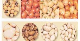 Produk hasil samping adalah produk yang dihasilkan selain produk utama. 4 Jenis Kacang Ini Bisa Dijadikan Bahan Baku Tempe Dan Tahu