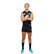 Carlton star patrick cripps has gone to another stratosphere in a vicious start to the afl season that left tigers stars scared. Carlton Blues Patrick Cripps Wall Decal