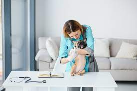 36 Ways to Open VIP Pet Care Business