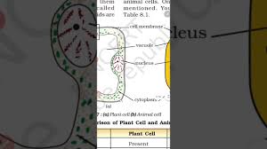 In this video you and your ward can learn about animal cellfor health related videos join our channelacupressure sanjeevni Std 8th Science Ch 8 Chlorophyll Animal Cell Plant Cell Youtube