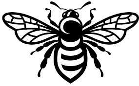 Places near los angeles, ca with free bee removal. Los Angeles Bee Removal Humane Bee Removal In The Los Angeles Area