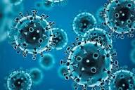 Coronavirus disease (COVID-19)