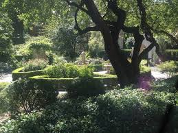 Maybe you would like to learn more about one of these? Biblical Gardens Materializing The Bible