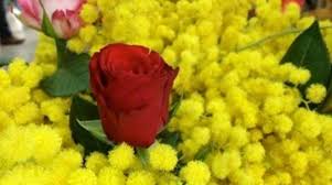 Abiti da sposa sincerity bridal collezione 2021. 8 Marzo Giornata Internazionale Della Donna In Italia E Nel Mondo A Palermo Ligabue In Concerto Sud Liberta