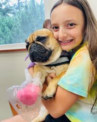 Willow & Watson (@thelifeof_willow_and_watson_) • Instagram photos and  videos