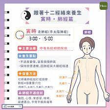 肺經養好消百病 跟著十二經絡來養生 寅時 肺經篇 heho健康in 2021 family guy fictional characters character
